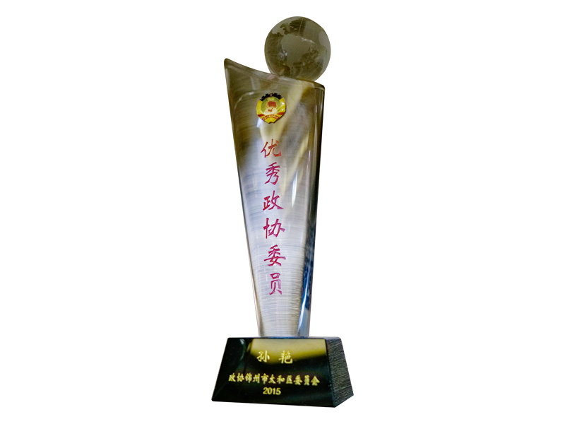 Outstanding CPPCC Member